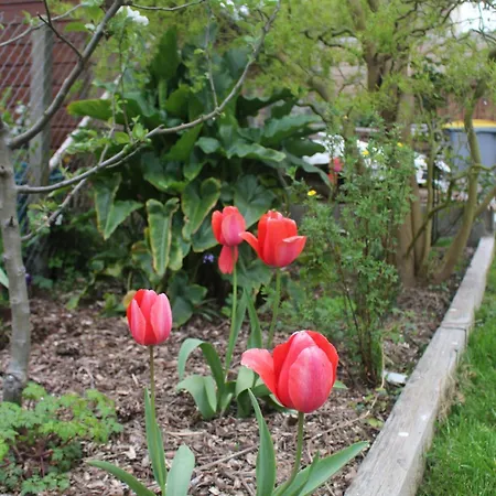 L'idylle - Maison A La